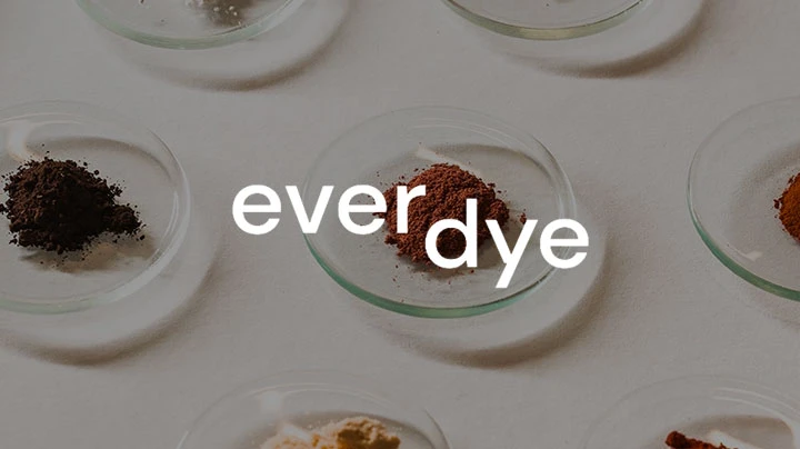 Pink House Studio for everdye