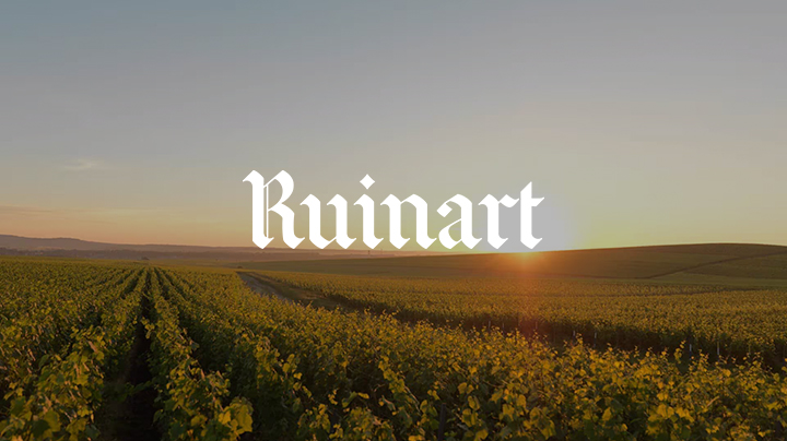 Pink House Studio for Krug Champagne