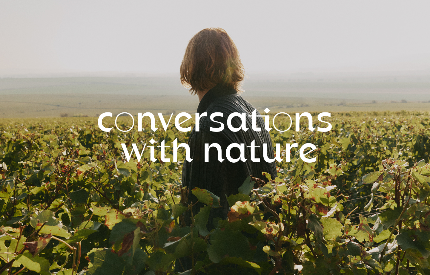 Pink House Studio for Krug Champagne